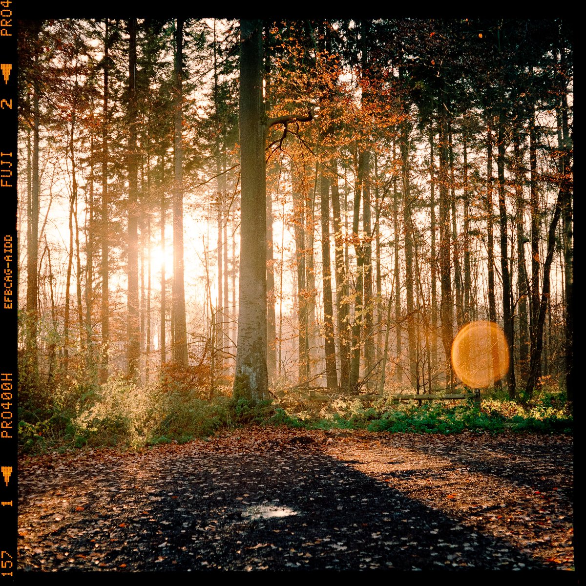raoulfilm's tweet photo. the film 🎞 the photos 🍂 https://t.co/g8qlKwGiCh