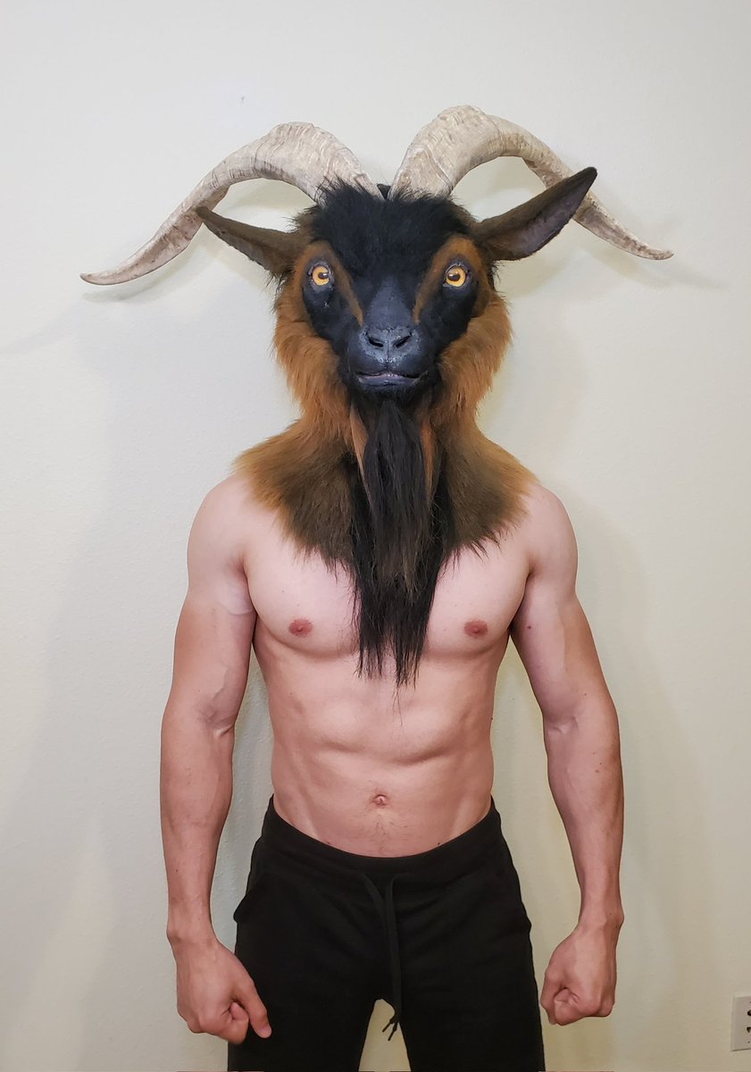 DeoTasDevil's tweet image. Goat mask made by @/Crystumes. Perfect for a Baphomet Halloween costume or a goat fursuit. 

Horns are very light hollow cast resin and removable to pack down for traveling, has a moving jaw, finished mouth with detailed teeth and silicone tongue, and gloriously thick NFT beard!