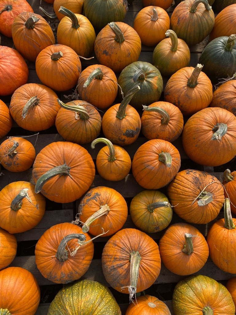 Today is the last day for Southwest Edmonton Farmers' Market and Sherwood Park Farmers' Market! Come visit our booths in Terwillegar or Emerald Hills tonight!