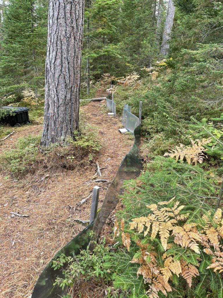 Robin Lloyd tweet media