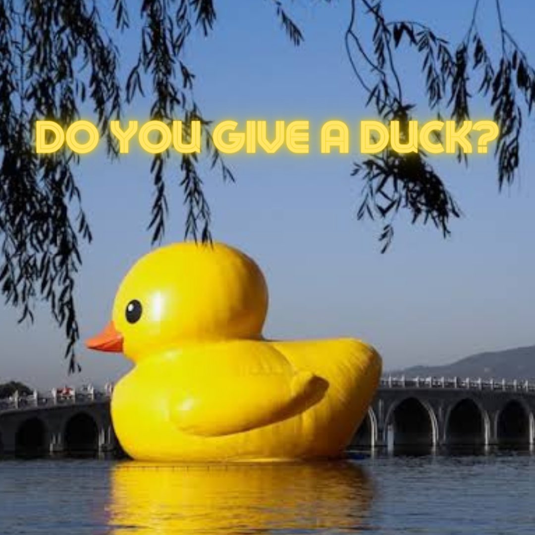 CHCHFoundation1's tweet photo. Do you give a duck? Support philanthropic youth in Christchurch, Brannigans, Jarden and The Christchurch Foundation collectively will match the first $10,000 NZD raised. https://t.co/imtzeCxE5n https://t.co/JGF2jrGfSr