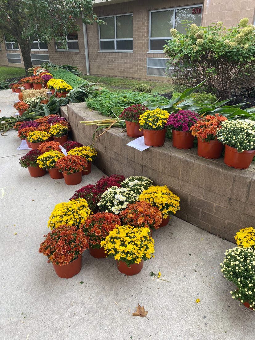 Larchmont Elementary PTO tweet media