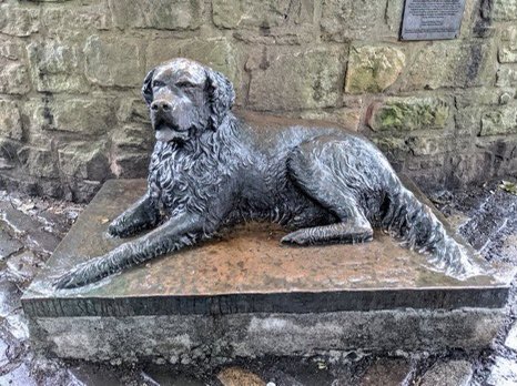 cuthbert_church's tweet photo. @jeelyeater1 We also have recently received  ‘Bum’ the homeless dog from San Diego 🇺🇸 just outside the church.  @churchscotland https://t.co/AyDPGG2jus