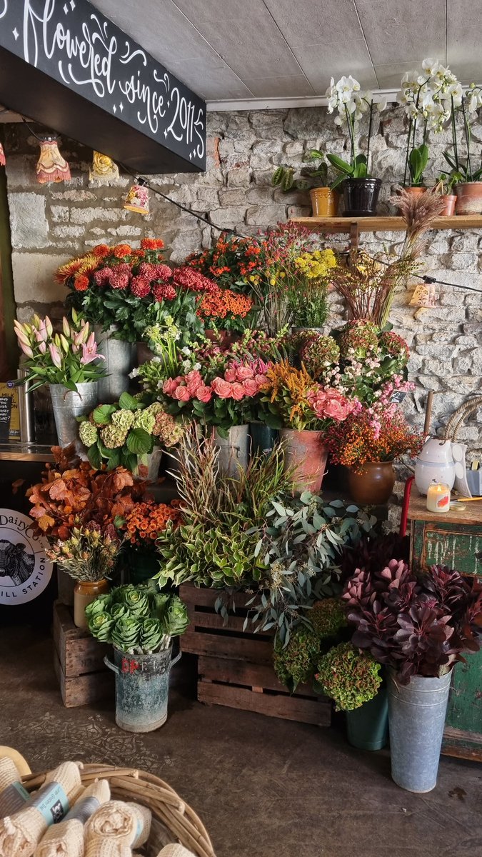 SproutandFlower's tweet photo. A simple Tweet... its been sometime!
#florist #flowershop #sproutandflower https://t.co/xfJz8GSEX0