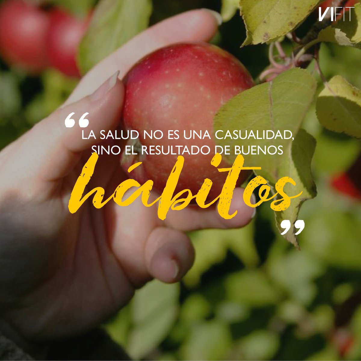 Tener buena salud no es cuestión de suerte, se necesita tener buenos hábitos de alimentación, actividad física, descanso, control del estrés, etc.

Muchos de esos malos hábitos son aprendidos, los hacemos de forma automática o tienen un origen emocional y psicológico.