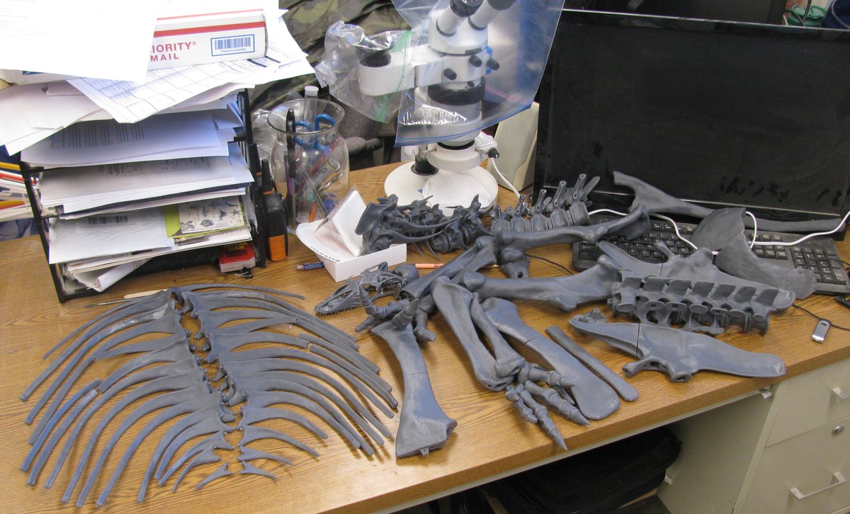 Dickinson Museum Center tweet media