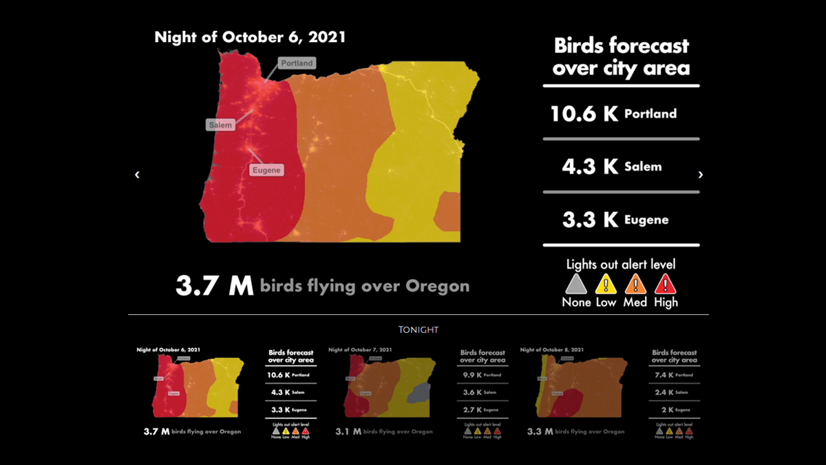 BirdAllianceOR's tweet image. We are still in peak migration month, and there is a Red Alert for much of Western Oregon—including Portland—TONIGHT. Please go #LightsOut from 11 p.m. to 6 a.m. and help keep birds safe on their migratory pathways. Thank you! aeroecolab.com/oregon