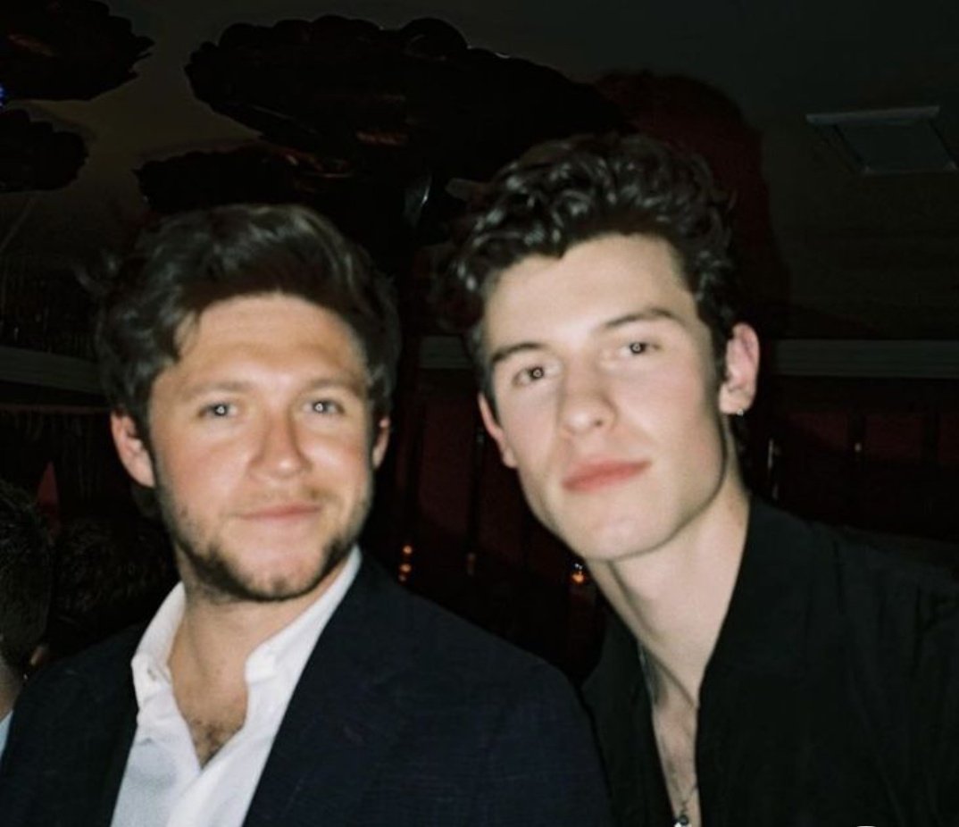 Shawniiees's tweet image. we want a collab between shawn mendes and niall horan