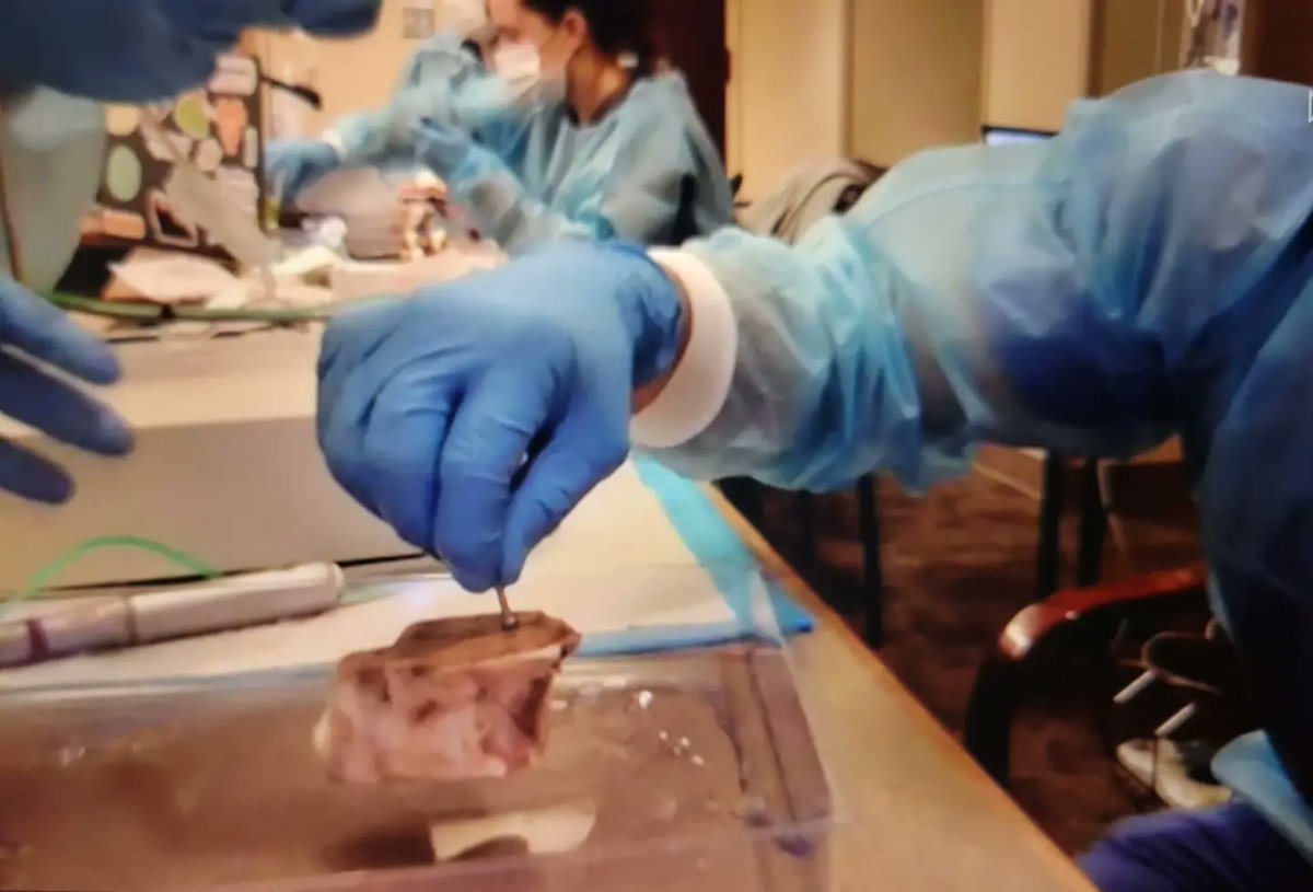 VersahLLC's tweet photo. Thank you to the Perio Residents at the University of Louisville, School of Dentistry for a great Osseodensification Hands-on Training today!

Request Versah to train your alma mater by contacting our events team at events@versah.com or (517) 990-8466. https://t.co/r0cETNzAie