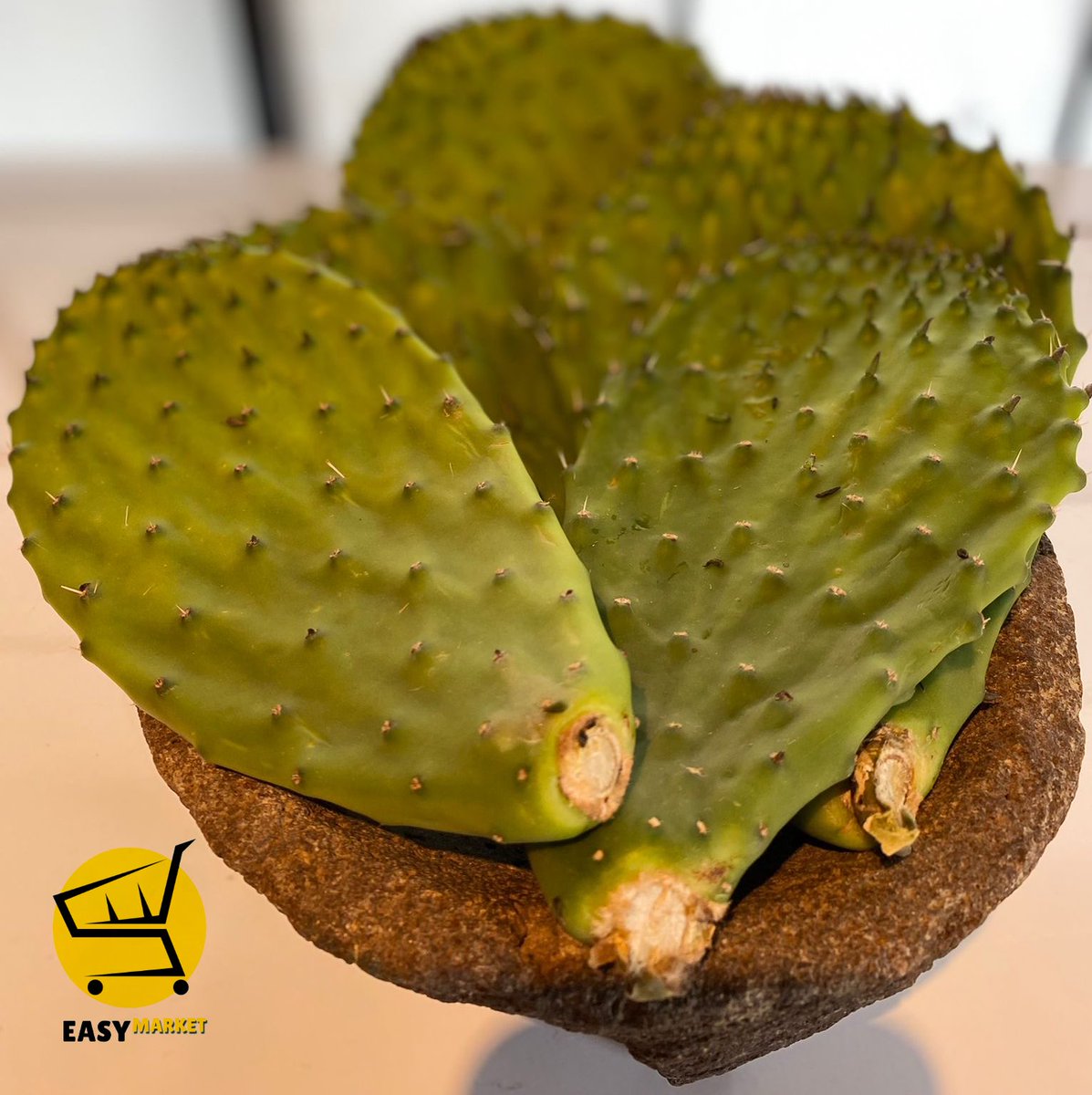 easymarketjp's tweet photo. 🔈 Nuevamente Disponible Nopales en easy market. Visita nuestra tienda y ve los productos nuevos en stock. 

🚨 ENVÍO GRATIS subtotal compra 9,990 jpy
Tienda online ⬇️🛒

https://t.co/TVW6UAUToQ 

Instagram 
@easy_market_jp 
Gracias
➡️ https://t.co/Hh7SsJTV3w 

#mexicanfoodjapan https://t.co/vTFLe7gGX6