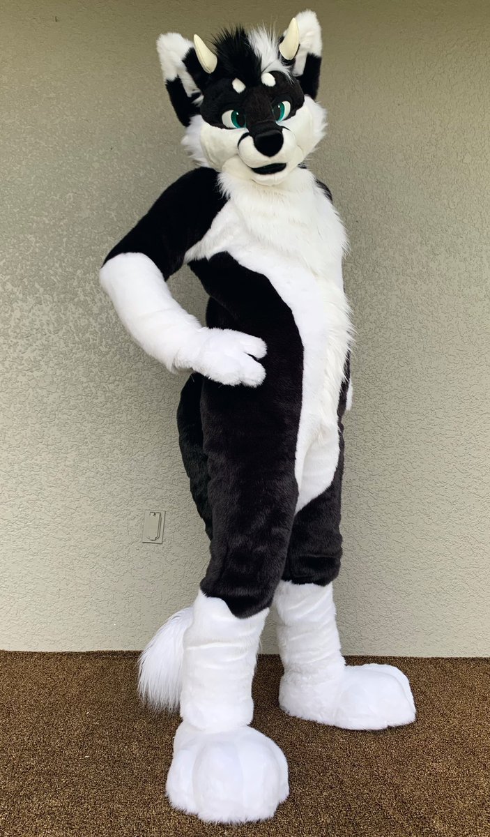 FursuitsByLacy's tweet photo. Introducing Nova Drox! 🖤 https://t.co/Lux9qpoXU1