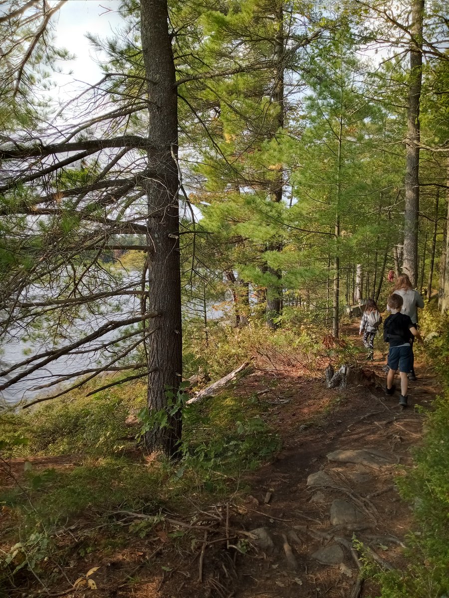 Great 6km Hike in Hardy Lake Muskoka #GreatCanadianHike