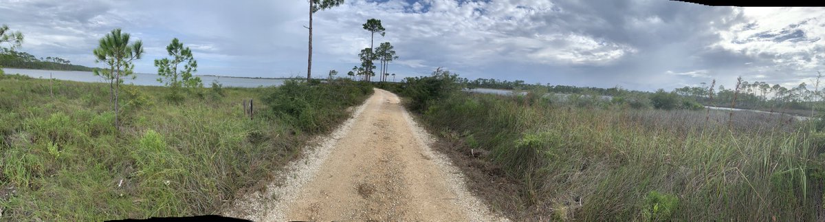 M. Whitten Wise, MD (@mwhittenwise) on Twitter photo One month to #RoasttheCoast. Nov 5/6 @F3Nola has 3 teams running the 200 miles from NOLA to the Florabama. Room for more <a href="/F3Birmingham/">F3Birmingham</a> <a href="/F3JacksonMS/">F3 Jackson</a> <a href="/montgomery_f3/">F3Montgomery</a> One month to #RoasttheCoast. Nov 5/6 @F3Nola has 3 teams running the 200 miles from NOLA to the Florabama. Room for more <a href="/F3Birmingham/">F3Birmingham</a> <a href="/F3JacksonMS/">F3 Jackson</a> <a href="/montgomery_f3/">F3Montgomery</a>