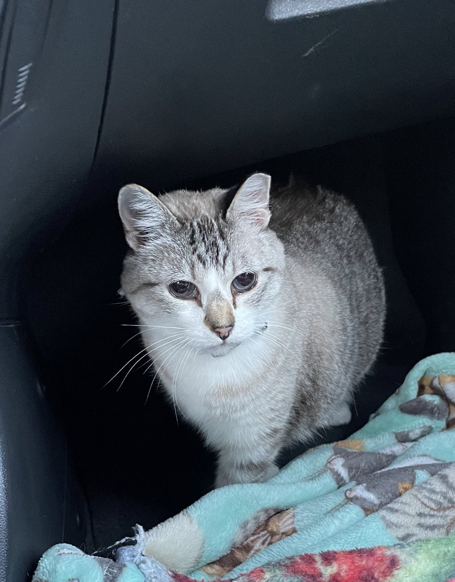 Mackenna Russell tweet media