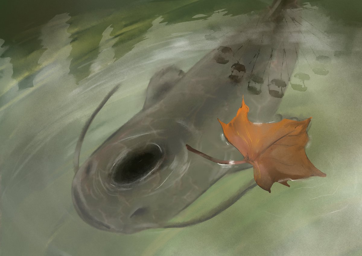 YasAlexArt's tweet photo. 🐱🐟🍂 https://t.co/vqpnT8vox6