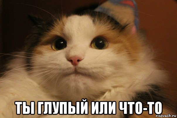 AlenaMironets's tweet photo. Это я весь день принимала транквилизаторы, чтобы к ��ечеру не было тревожности, но время 2 часа ночи и она не да��т мне уснуть https://t.co/P755OeZI5M