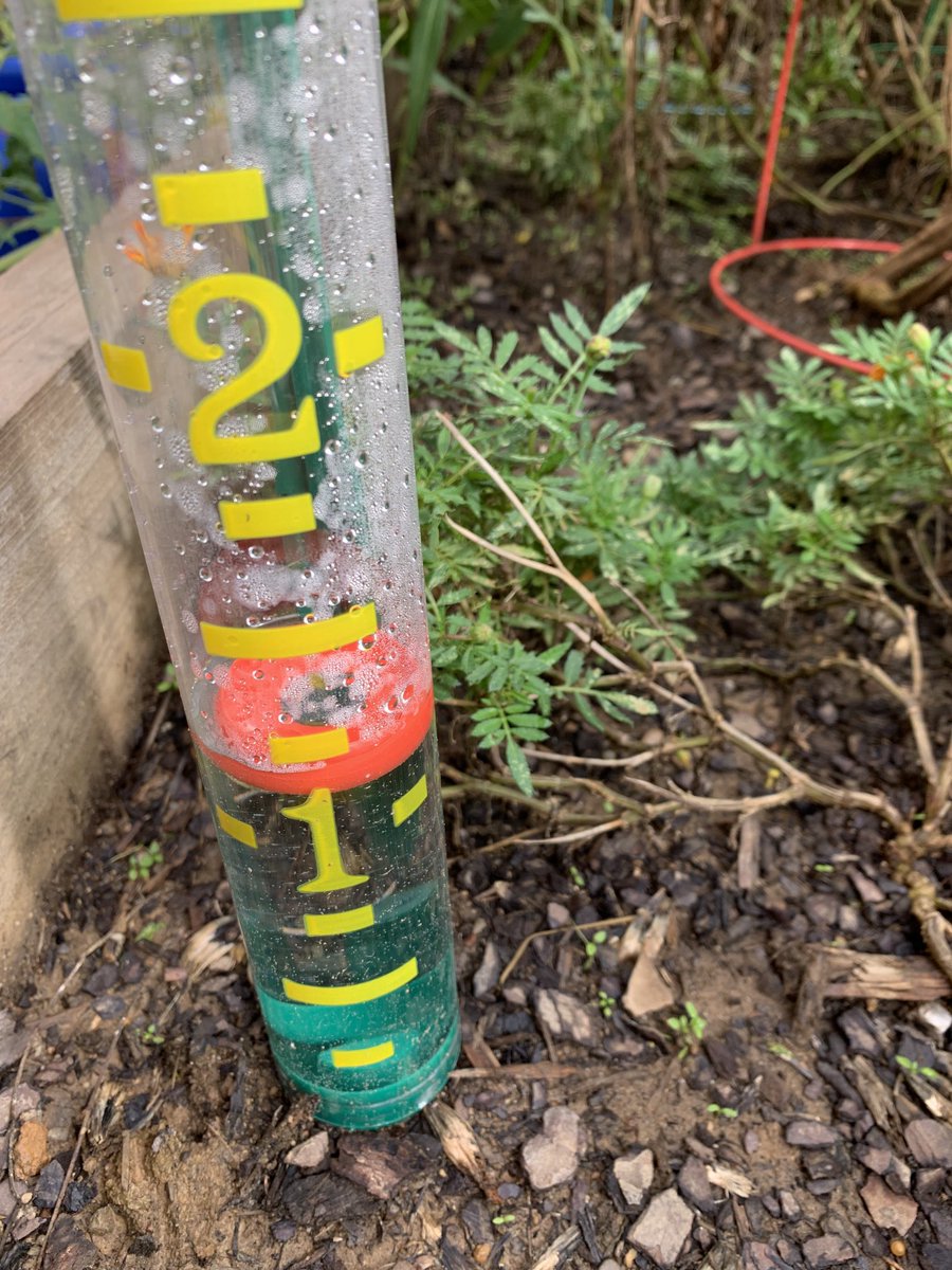 cbyrdteaches17's tweet photo. Measuring the precipitation in the WB garden weather station! #GATE ⁦@WBE_Library⁩ ⁦@WBESBulldogs⁩ https://t.co/wLr2ZbYF69