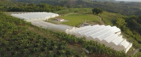 AZFLUS's tweet photo. Amazonas Florestal, Ltd. (OTC:AZFL) Management advised its shareholders this morning that the Company operatives in Colombia have participated in discussions today for the acquisition of an important Medical Marijuana grower that presently has substantial sales…(1/3) https://t.co/fzCP4dlD8J