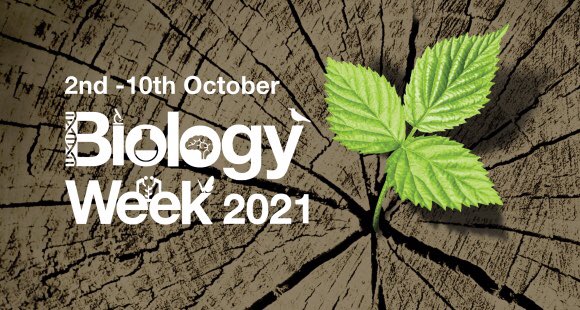 CHHSCulture's tweet photo. Biology Week is in full swing at CHHS... From DNA bracelet making to the Biology Spelling Bee, it's a bumper crop of all things biological! https://t.co/jwGIzmXkja