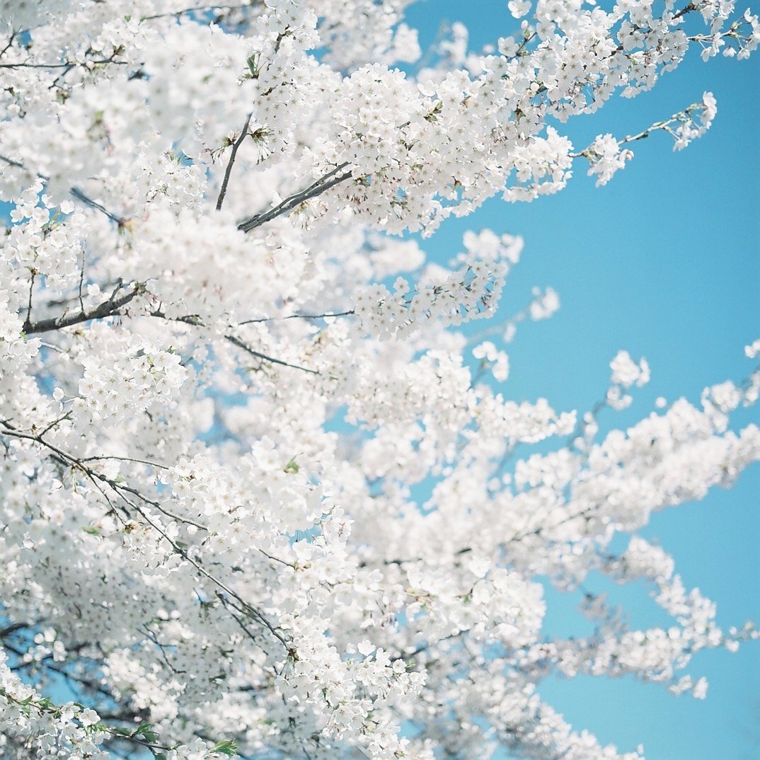 Archillct tweet media