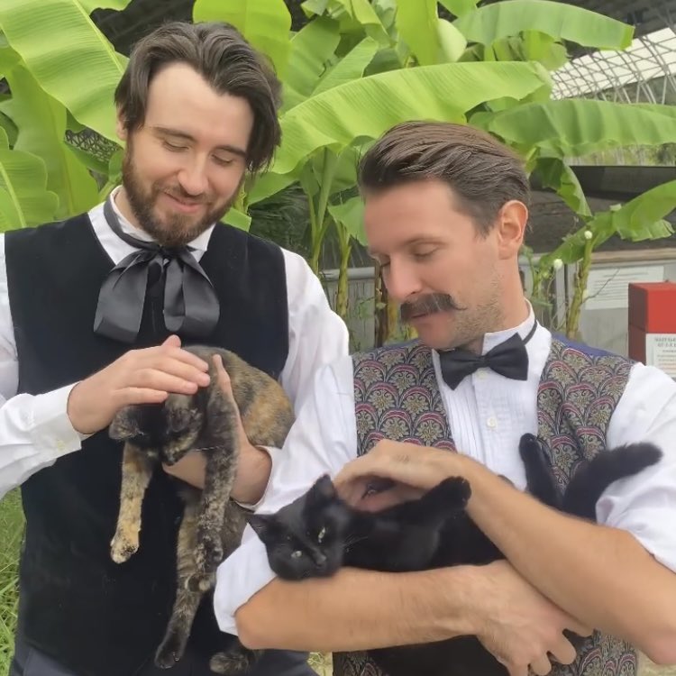 my little meow meows 🥺🤏🏻 
piterville? no. 
caterville? YES.