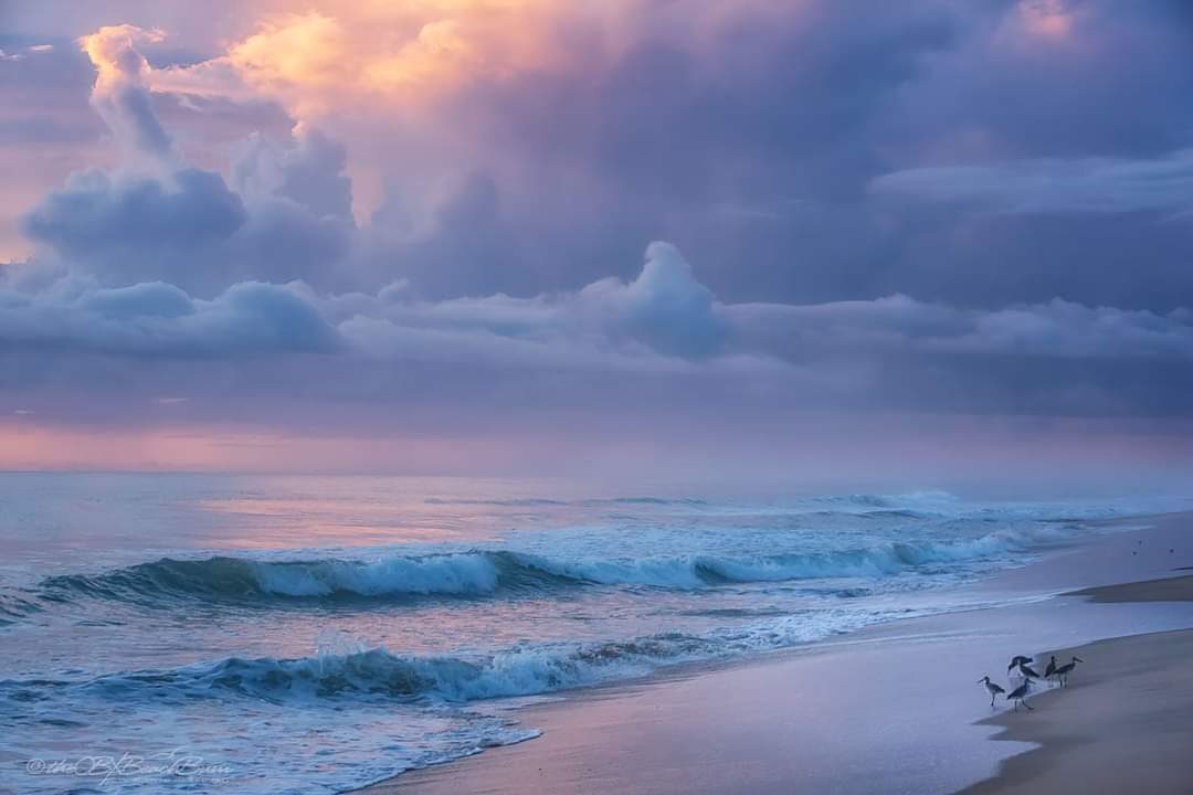 Alesia Williams (@alesiaw92256010) on Twitter photo There is no denying the beauty of the Outer Banks. Beachwoods Resort. <a href="/diamondresorts/">Diamond</a> <a href="/AdamSmith_30/">Adam Smith</a> <a href="/jennycoramsmith/">jenny coram smith</a> <a href="/StephAwalker21/">Stephanie Walker</a> <a href="/nanperusse8/">Nanette Perusse</a> <a href="/audra5511/">Audra Overfelt</a> <a href="/MongoldSusan/">Susan Mongold</a> @KyleWMays There is no denying the beauty of the Outer Banks. Beachwoods Resort. <a href="/diamondresorts/">Diamond</a> <a href="/AdamSmith_30/">Adam Smith</a> <a href="/jennycoramsmith/">jenny coram smith</a> <a href="/StephAwalker21/">Stephanie Walker</a> <a href="/nanperusse8/">Nanette Perusse</a> <a href="/audra5511/">Audra Overfelt</a> <a href="/MongoldSusan/">Susan Mongold</a> @KyleWMays