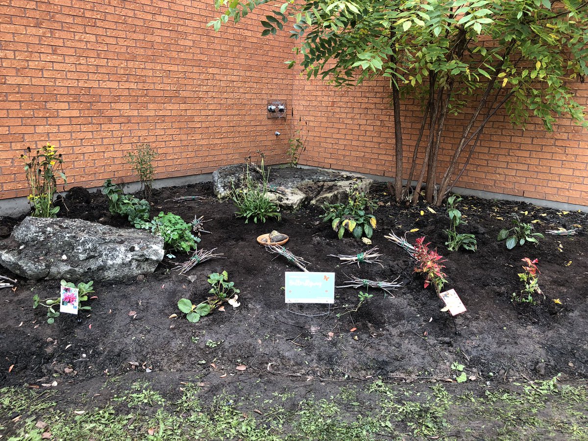 MarkLion14's tweet photo. Our Butterfly Garden is complete! Thank you to Mrs. Hartman from the @DavidSuzukiFDN Mrs. Burke and Ms. Dalyβs Grade 3 students for preparing the garden beds and planting indigenous southern Ontario pollinator plants. @MarkLion14 https://t.co/VZSFL2JNc1