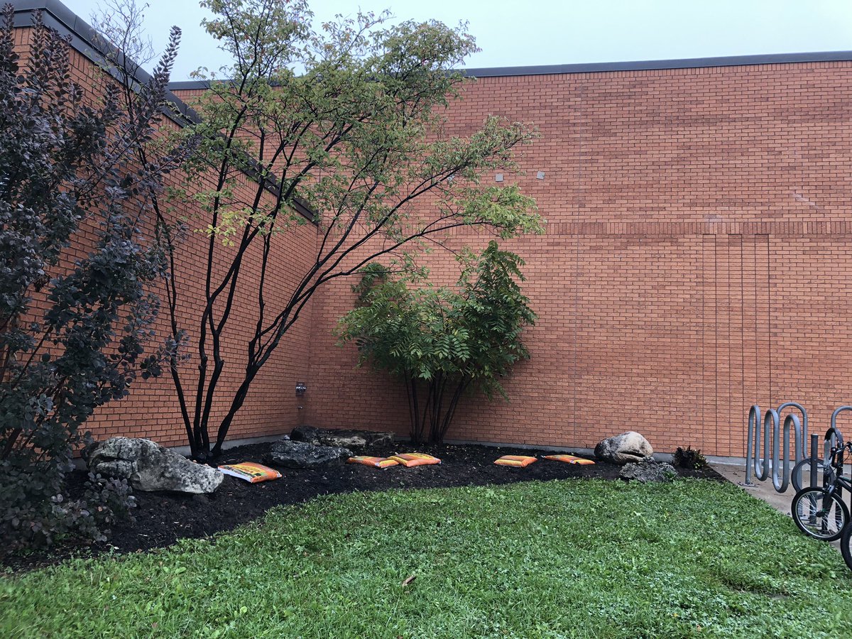 MarkLion14's tweet photo. Our Butterfly Garden is complete! Thank you to Mrs. Hartman from the @DavidSuzukiFDN Mrs. Burke and Ms. Dalyβs Grade 3 students for preparing the garden beds and planting indigenous southern Ontario pollinator plants. @MarkLion14 https://t.co/VZSFL2JNc1