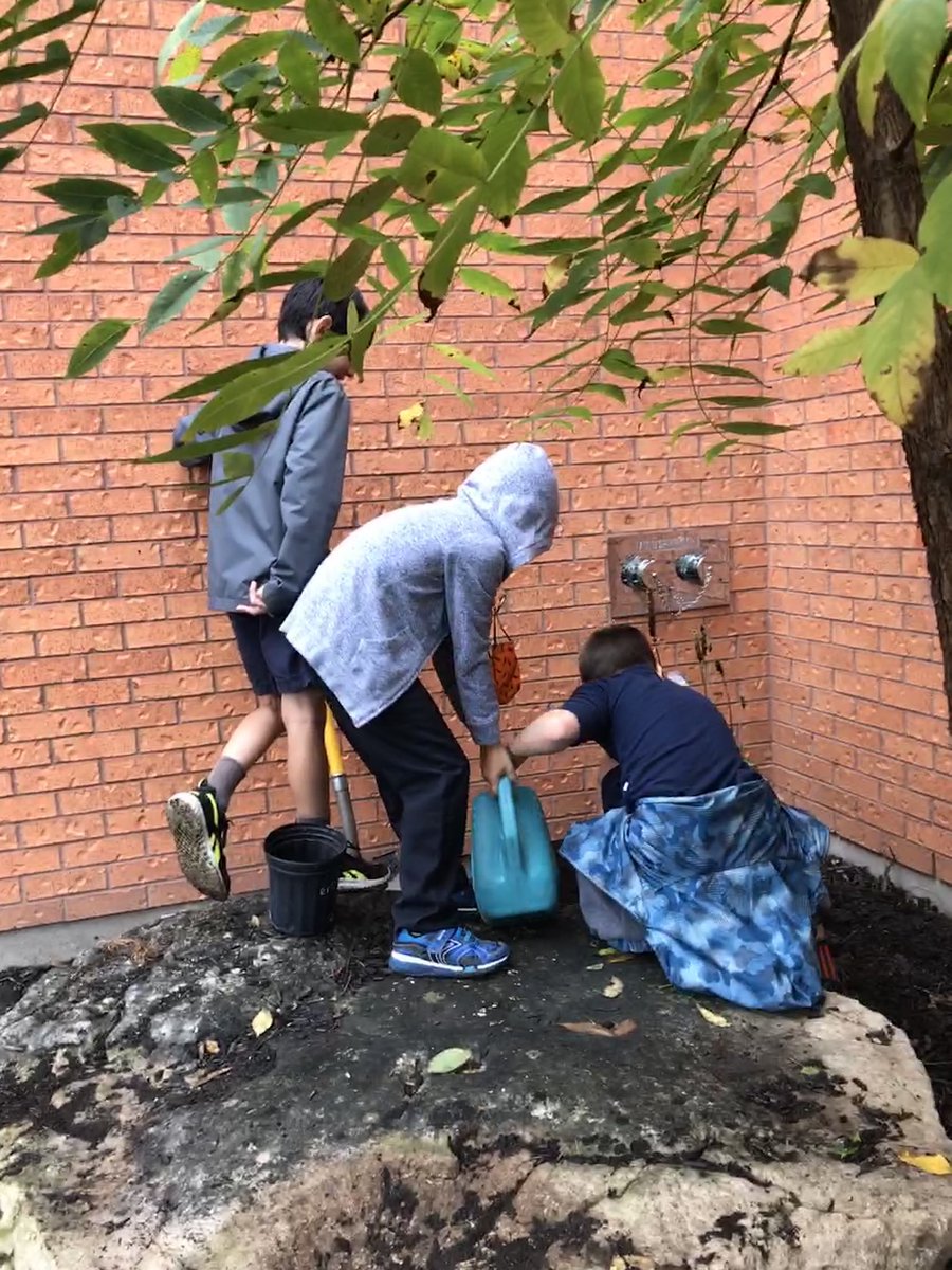 MarkLion14's tweet photo. Our Butterfly Garden is complete! Thank you to Mrs. Hartman from the @DavidSuzukiFDN Mrs. Burke and Ms. Dalyβs Grade 3 students for preparing the garden beds and planting indigenous southern Ontario pollinator plants. @MarkLion14 https://t.co/VZSFL2JNc1