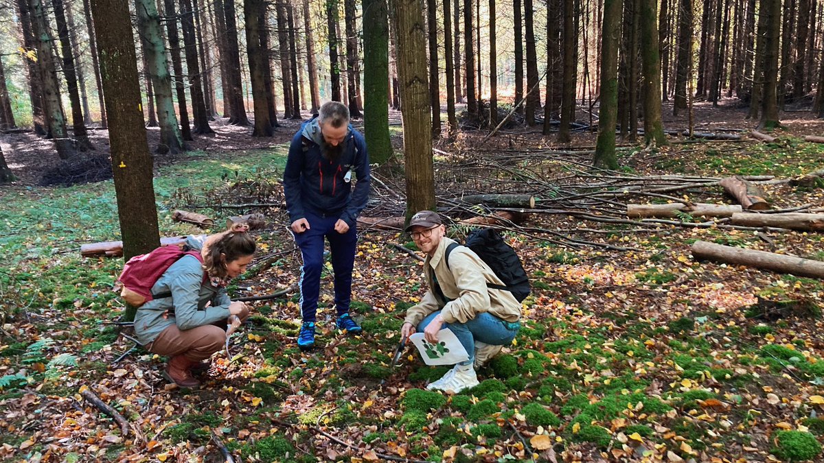 Line_VH's tweet image. Learning about tree species effects on soil biogeochemistry in Tågerød experimental forest site by Lars Vesterdal and exploring on our own. Great day at #PlaMiSoil21 #phdcourse @science_ku #itsallconnected🌳🌲🍄🍂🪱🪲 @SoilandGas @clasen_lina @jkbppk