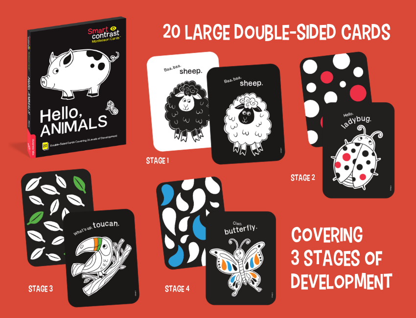 New! Montessori Cards for your Baby - mailchi.mp/5062ea34f0de/u…