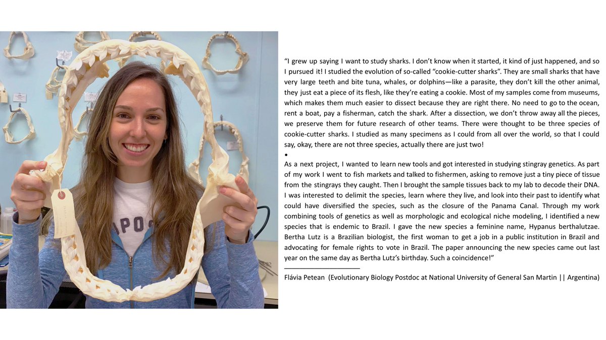 _womenofstem's tweet photo. "I studied the evolution of so-called 'cookie-cutter sharks'—they don’t kill the other animal, they just eat a piece of its flesh, like they’re eating a cookie." @unsamoficial
•
https://t.co/wA5c4VbLZL | #wostem https://t.co/WEEaI7zTMm