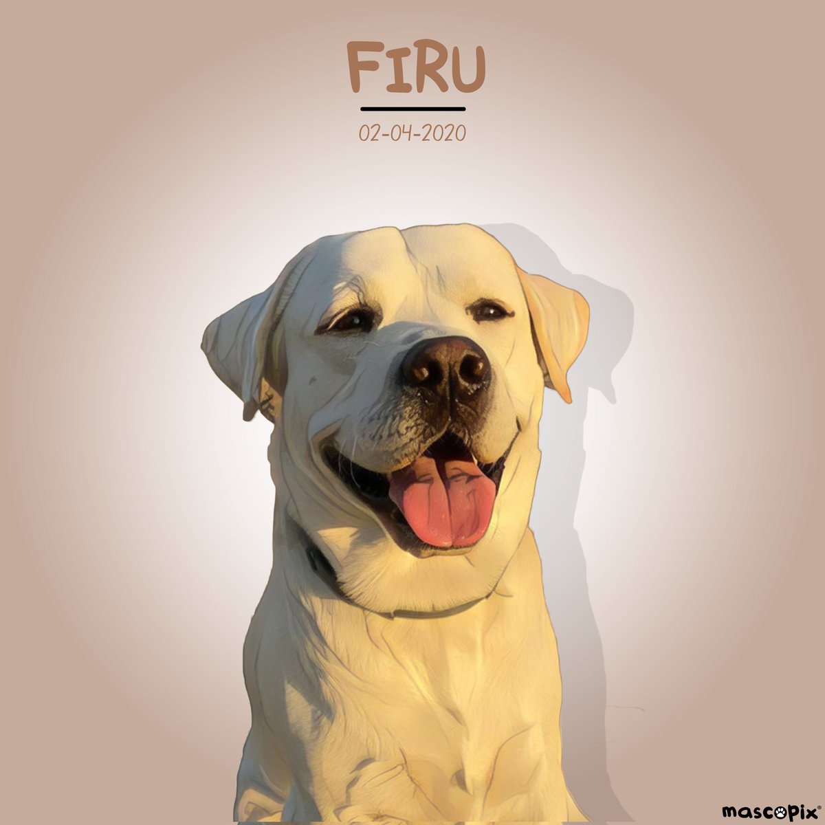 mascopix's tweet photo. Con un añito desde Madrid nos llega FIRU. 

Te gustaría tener el Retrato de tu Mascota?...en @mascopix te lo enviamos a casa gratis...¡envianos un mensaje!

#mascopix #amormascotas #retratomascota #cuadromascotas #perros #mascotas #dogsinstagram https://t.co/QNdtYpLZvs