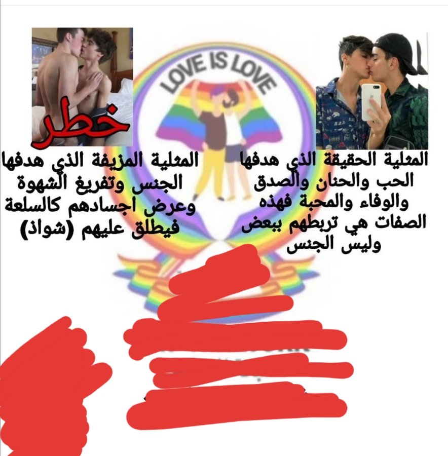 مذكرات مثلي عربي tweet media