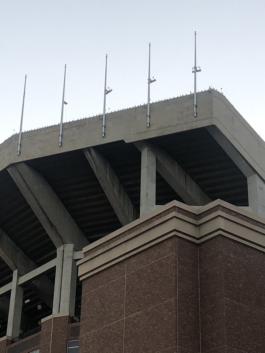 Bird ticket pull line pretty long today