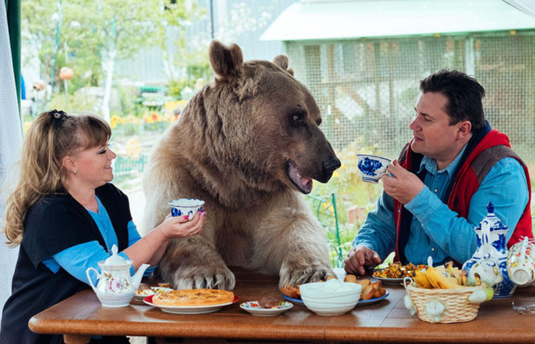 WonkyTimes's tweet photo. So, what’s it like living with a bear as tall as Shaquille O’Neal?
ARTICLE: https://t.co/XxG12ypkcn https://t.co/RBqR7XdLuK