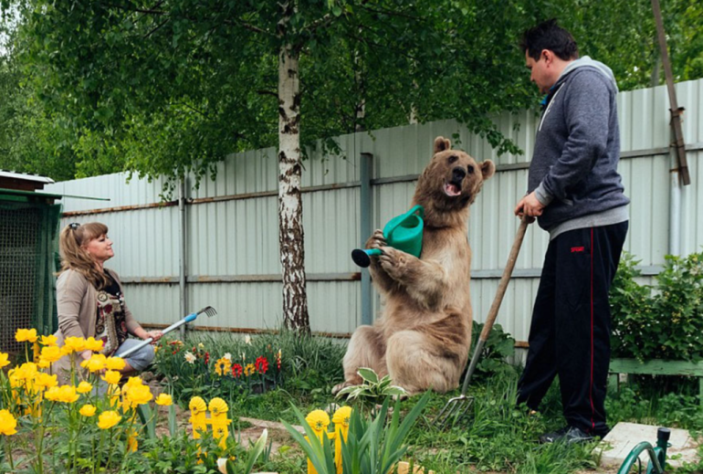 WonkyTimes's tweet photo. So, what’s it like living with a bear as tall as Shaquille O’Neal?
ARTICLE: https://t.co/XxG12ypkcn https://t.co/RBqR7XdLuK