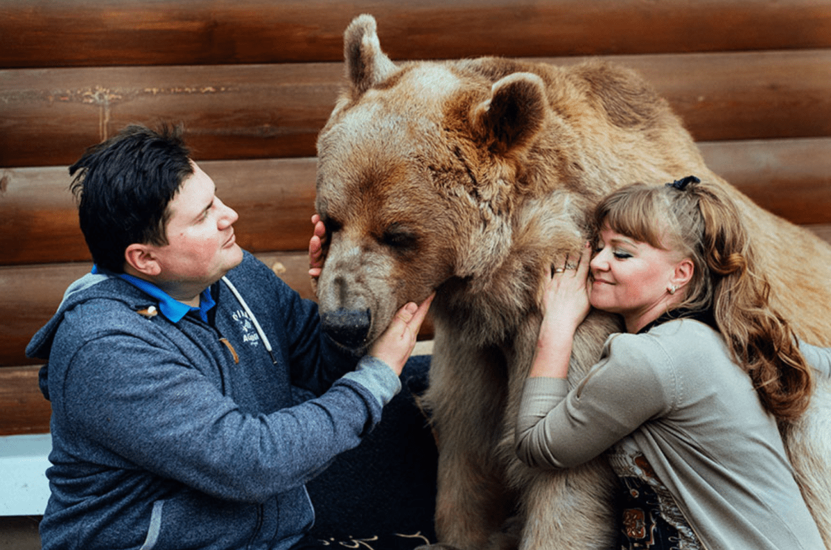 WonkyTimes's tweet photo. So, what’s it like living with a bear as tall as Shaquille O’Neal?
ARTICLE: https://t.co/XxG12ypkcn https://t.co/RBqR7XdLuK