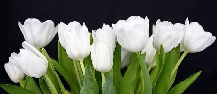 SevdaAs39628561's tweet photo. @mersinlibrook İYİ  geceler https://t.co/69dGUsiVAc