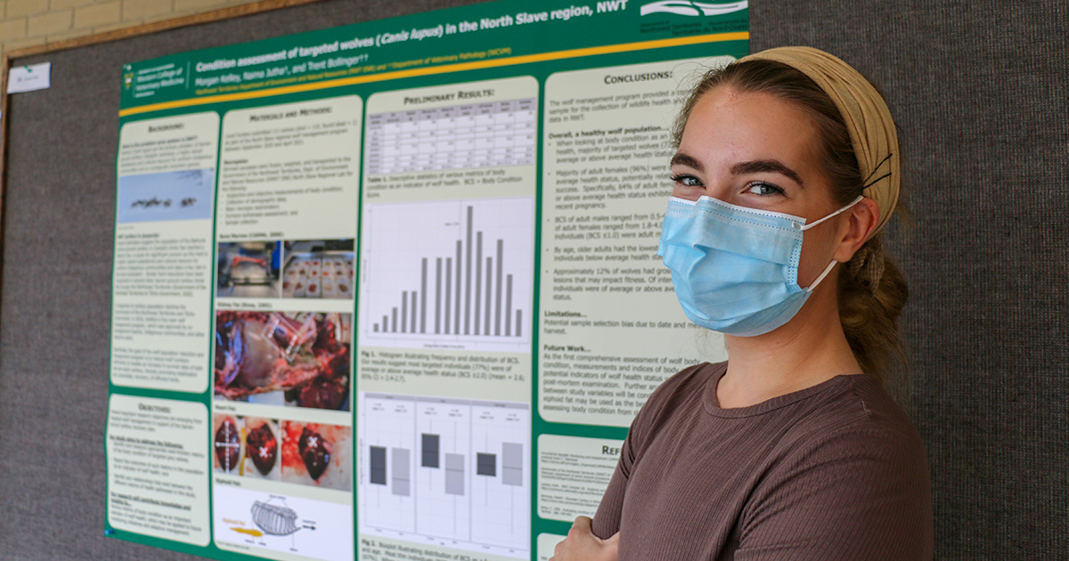 WCVMToday's tweet photo. Bees, bacteria and bison were all part of the #WCVM’s recent Undergraduate Research Poster Day competition. Read more: https://t.co/wKnbWlVTzP #USask @usaskUGResearch #vetmed https://t.co/PX9aOv6npr