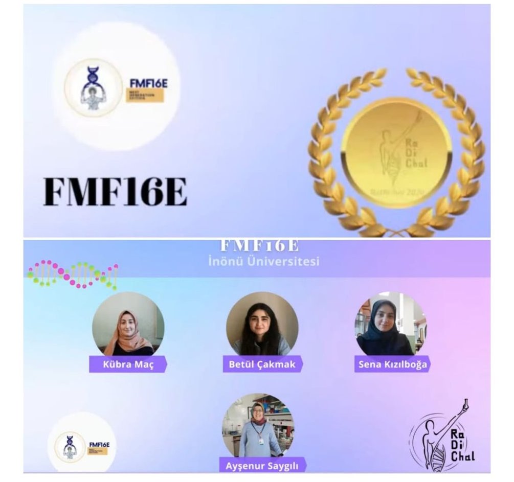 EFmf16's tweet photo. Herkese merhaba, Katılmış olduğumuz Rare Disease Challenge 2021 yarışmasını yazmış olduğumuz FMF hastalığına dair proje ile altın madalya kazanarak bitirdik.🎉FMF16E ekibi olarak Altın madalya almanın gururunu yaşıyoruz.+ https://t.co/gbzYym6H47