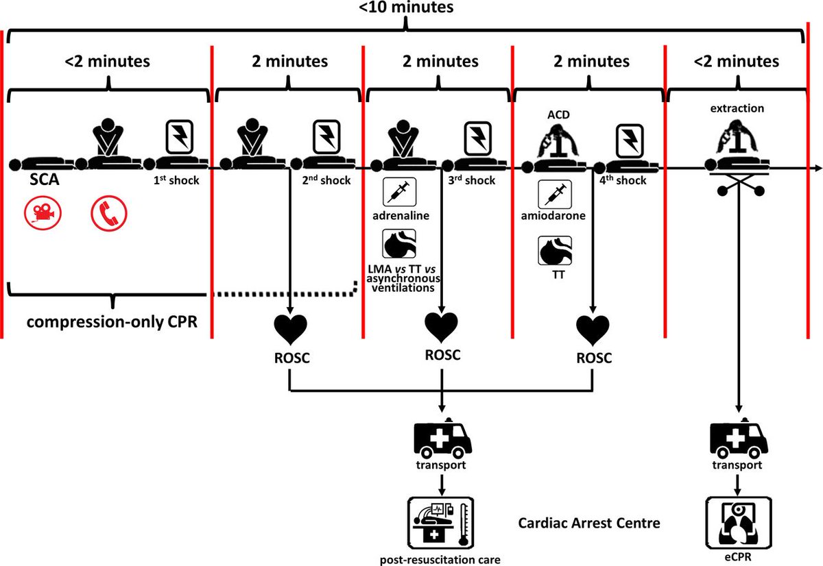 BJSM_BMJ's tweet photo. EDITIORIAL: CPR for sudden cardiac arrest - improving the standard of care 🫀

Read the latest #BJSM editorial

https://t.co/8za0JX7HtH https://t.co/nXQtbwIPb3