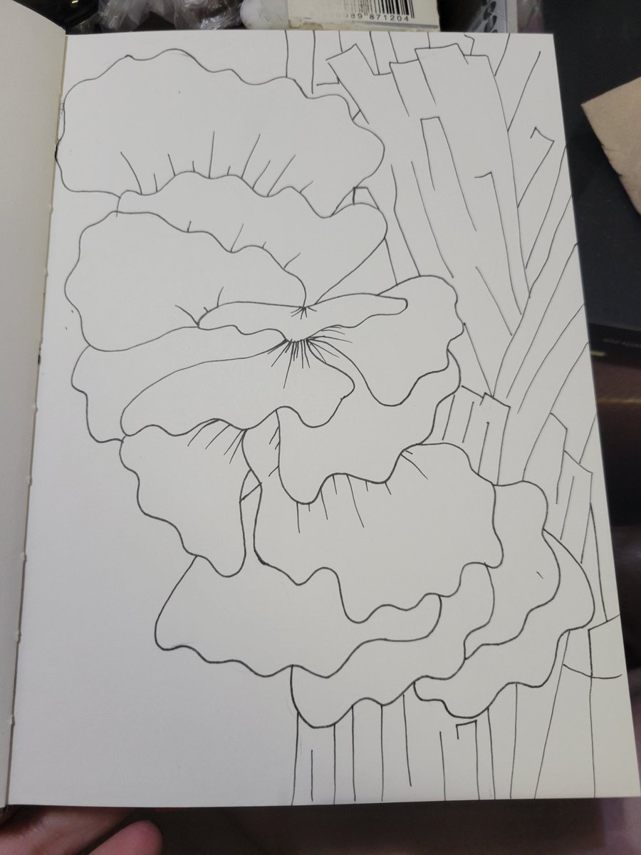 DesignsHavenar's tweet photo. Day 3 of #artober drawing mushroom inspired works. this one is #chickenofthewoods I intend on going back and coloring it in so you get the full effect of it. https://t.co/A9V9ul6SHA