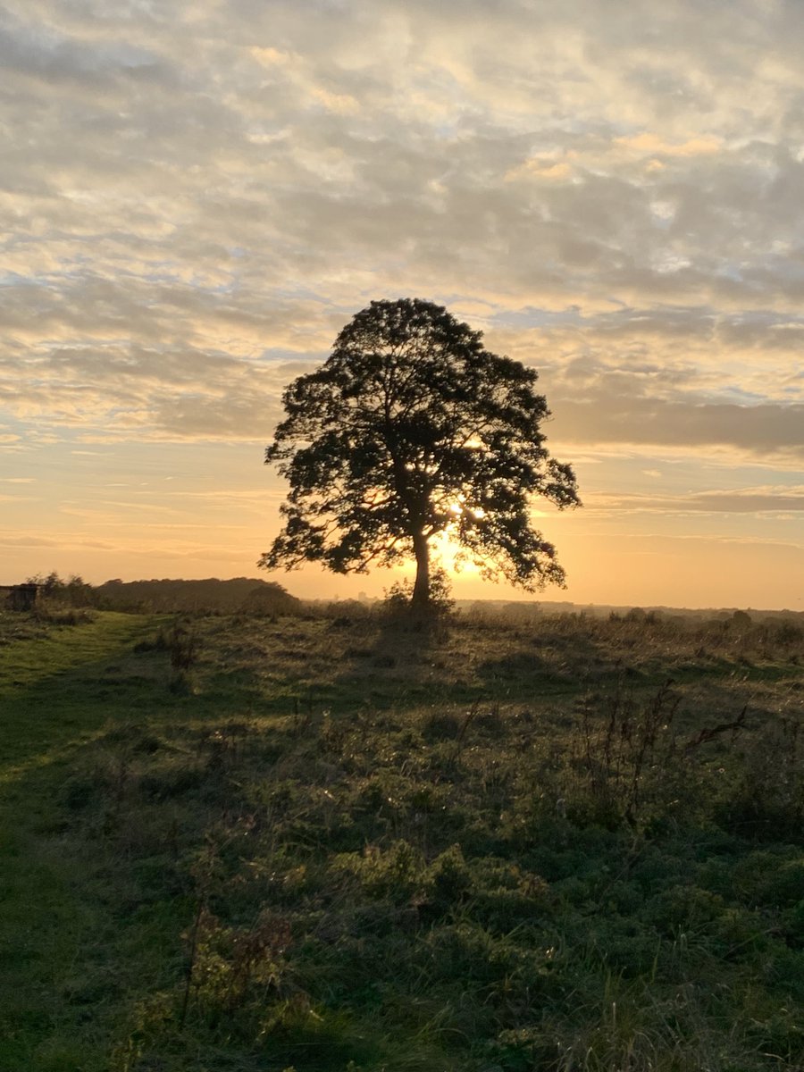 Stunning evening dog walk - love these autumn sunsets..