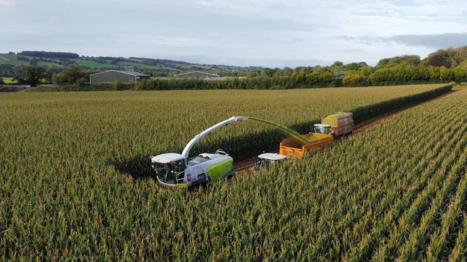 Great day watching the <a href="/CLAAS_UK/">CLAASUK</a> 990 jag on tracks along with the 960tt @ hamblys arrive and drive day several other models made an appearance along with <a href="/RichardWestern/">Farm Trailers</a> trailers Serious bit of kit on display (photo courtesy of rural farm photography)
