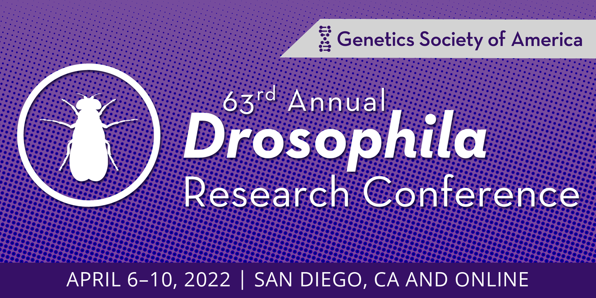 GeneticsGSA's tweet photo. Abstract submission is now open for #Dros22! Topics cover the diversity of #Drosophila investigations, from genetics to molecular biology, cell biology, development, immunology, physiology, neuroscience, evolution, and more. Submit your abstract by Nov 18! https://t.co/FvIvzSTtM4 https://t.co/QdBxHrvrwz