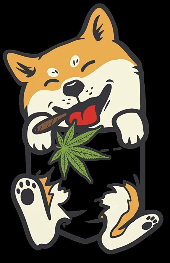 flightplugco's tweet photo. You can now use #SHIB to buy cannabis in Canada! DM or check our site for more info! https://t.co/rBkcEvyEVI