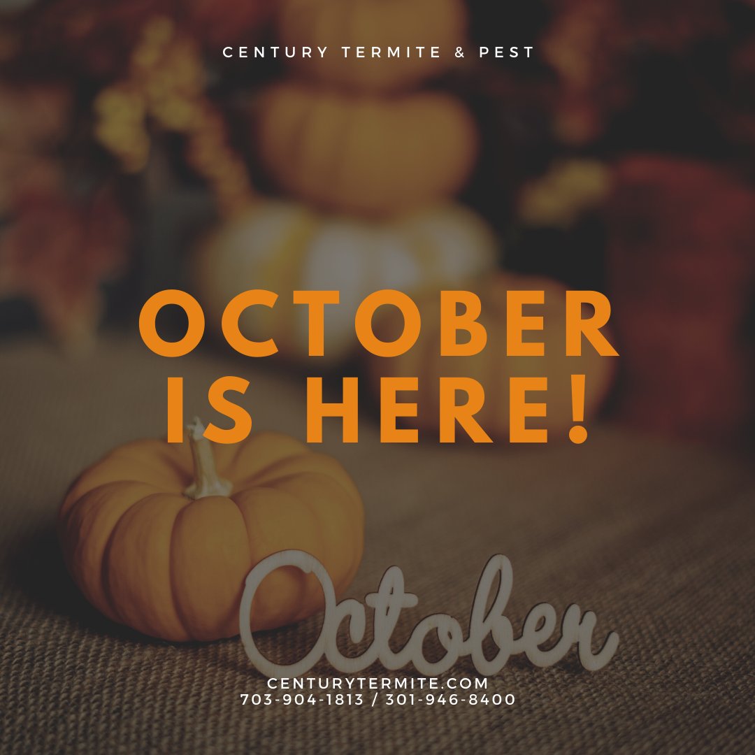 PestCentury's tweet photo. What fall pests are you starting to see? 
#pestcontrol #pestcontrolservice #october https://t.co/zhp0Zu0xKG