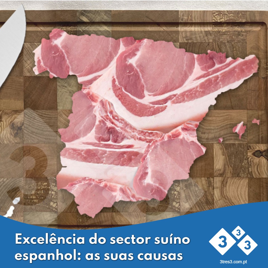 3tres3pt's tweet photo. O analista Guillem Burset fala sobre as possíveis causas do inegável sucesso da suinicultura espanhola.

https://t.co/hBfV3Ieu86 https://t.co/7MMHM22cYW