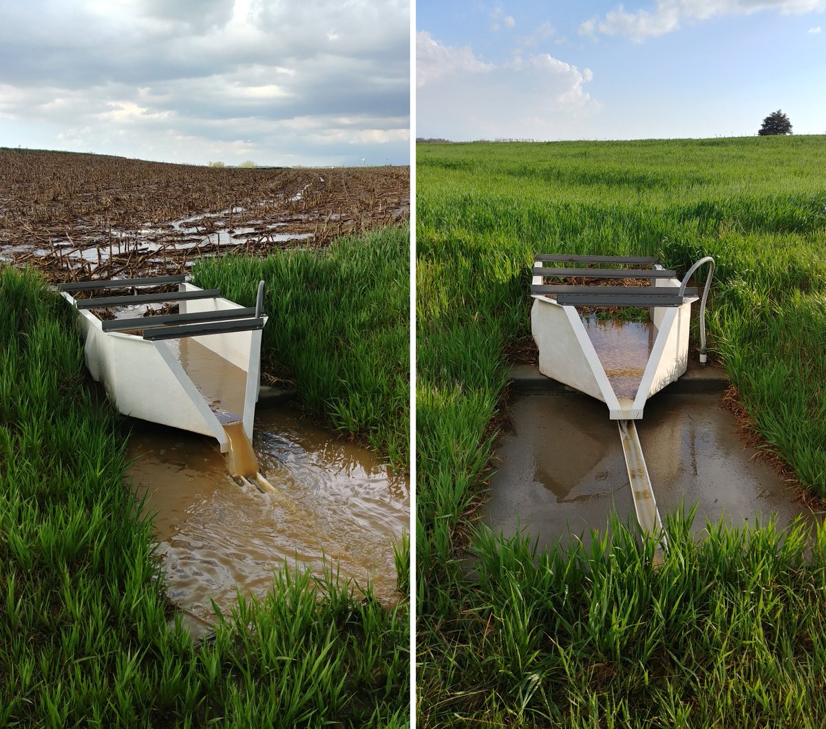 Nathan Nelson tweet media